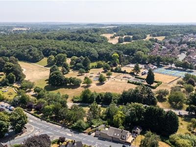 Picture 21